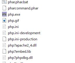 「php.ini」ファイル